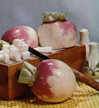 Turnip